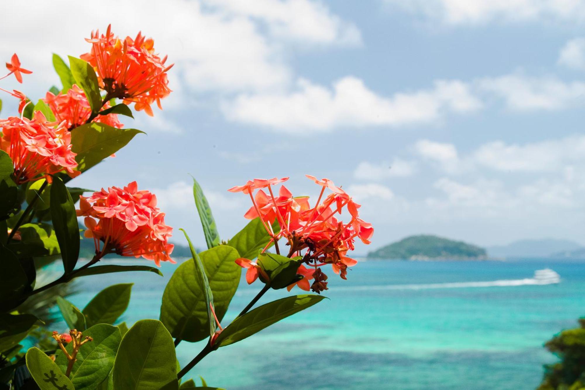 シャレー コート メール Baie Sainte Anne エクステリア 写真