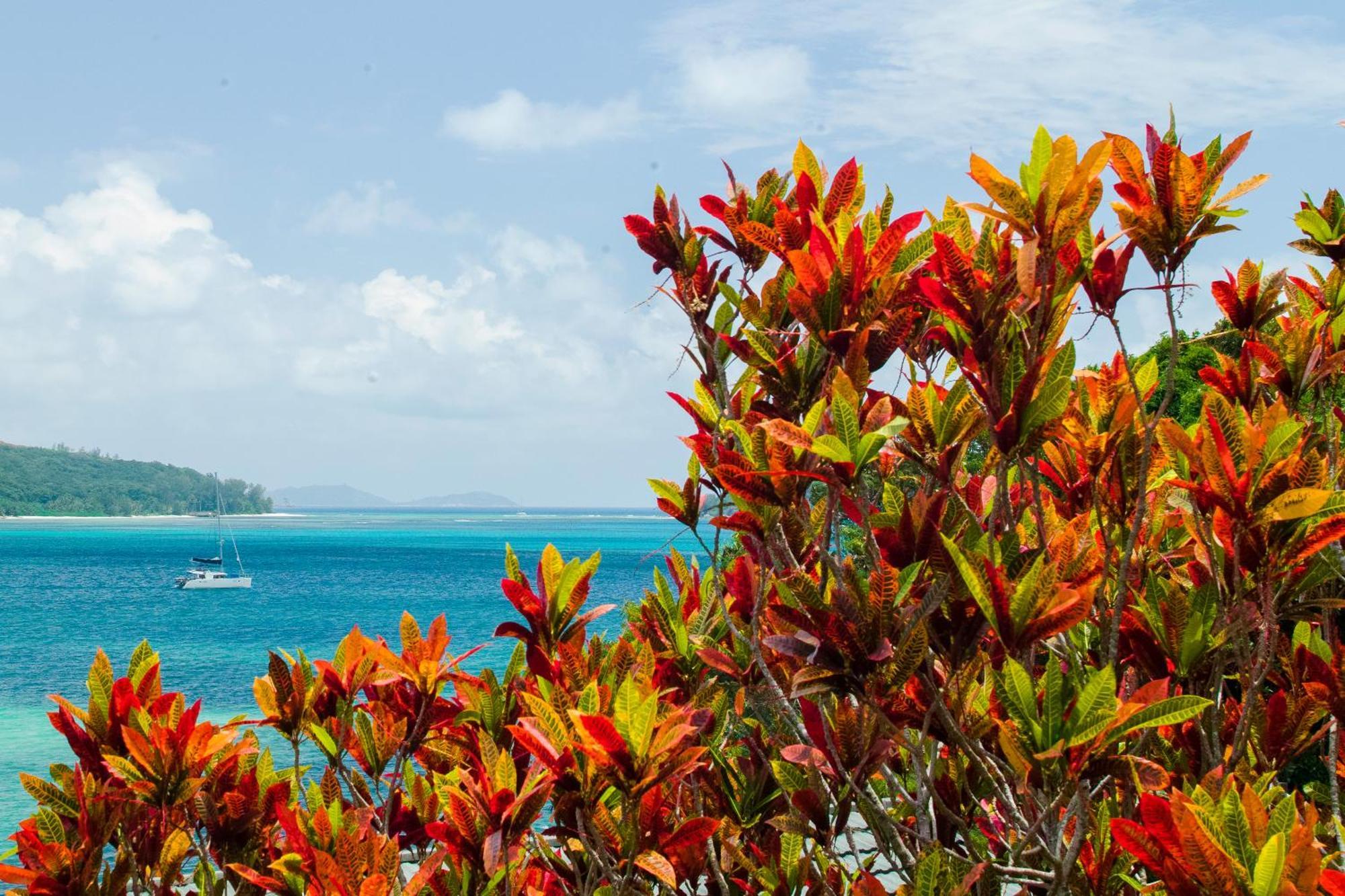 シャレー コート メール Baie Sainte Anne エクステリア 写真